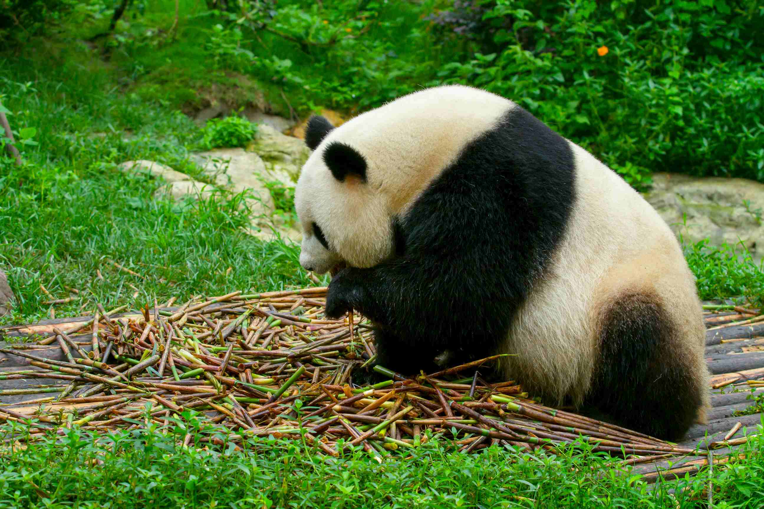 旅游资源普查工作现场