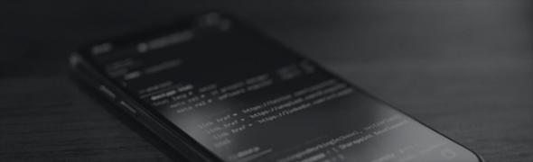 大型普查与调查组织能力强执行力稳健